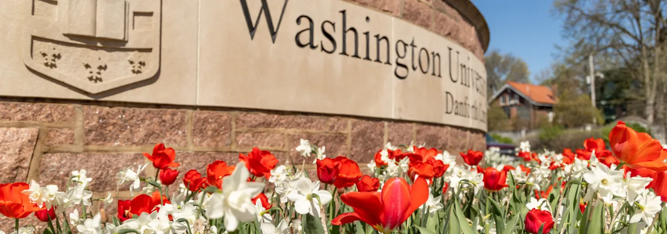 Spring flowers bloom in front of the Washington University sign